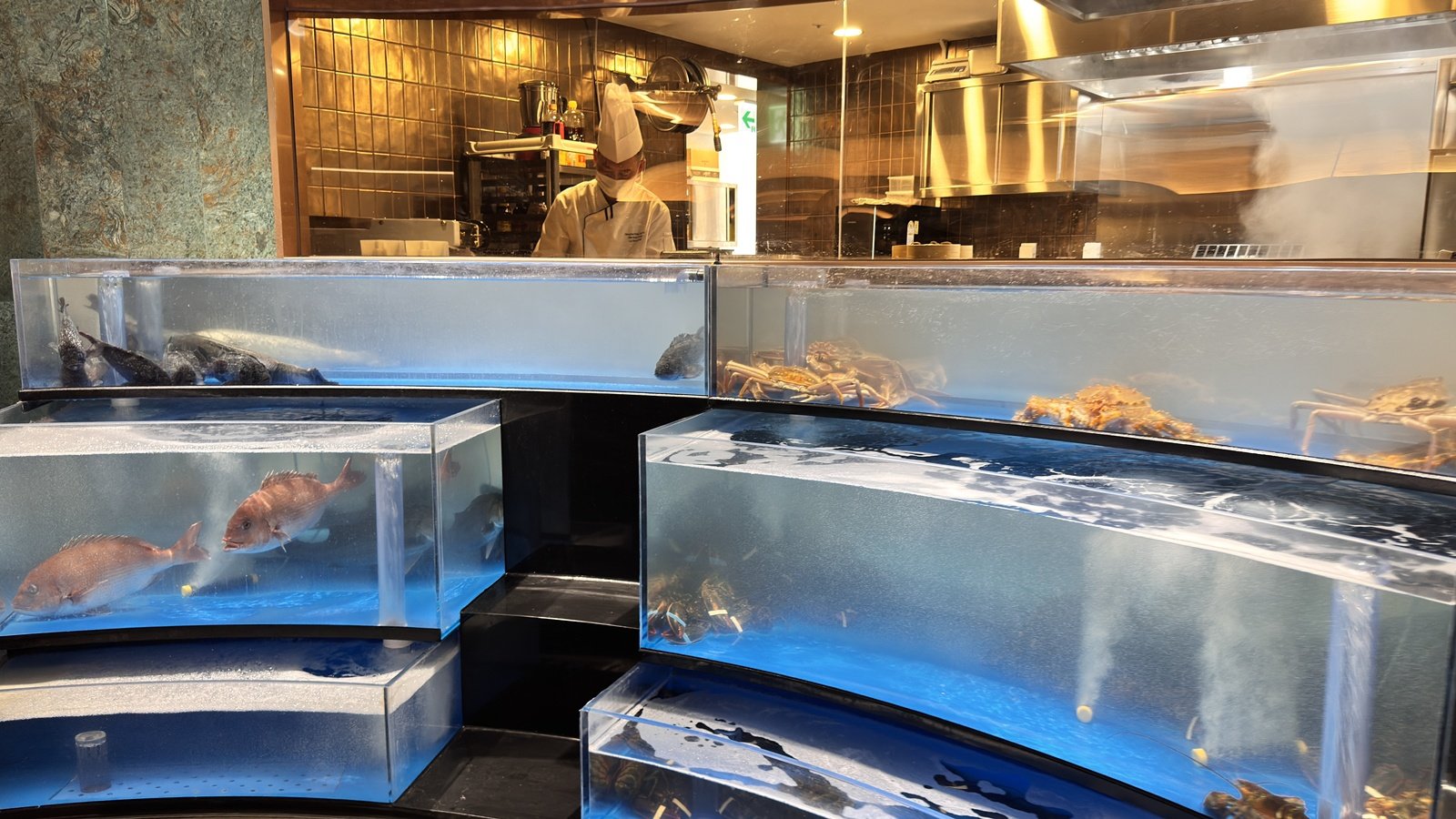 도원·S는 해산물 요리를 대폭 강화했다. 매장 입구 대형 수조에서 셰프가 해산물을 바로 건져 올려 요리하는 방식으로, 인근 오픈 주방을 통해 수타면 제조 과정 등도 볼 수 있다. 윤우열 기자 cloudancer@donga.com