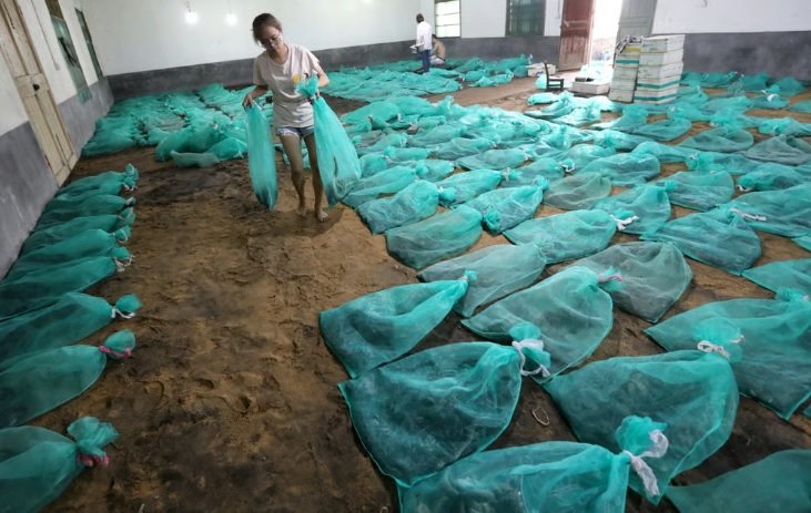 사진=사우스차이나모닝포스트(SCMP)