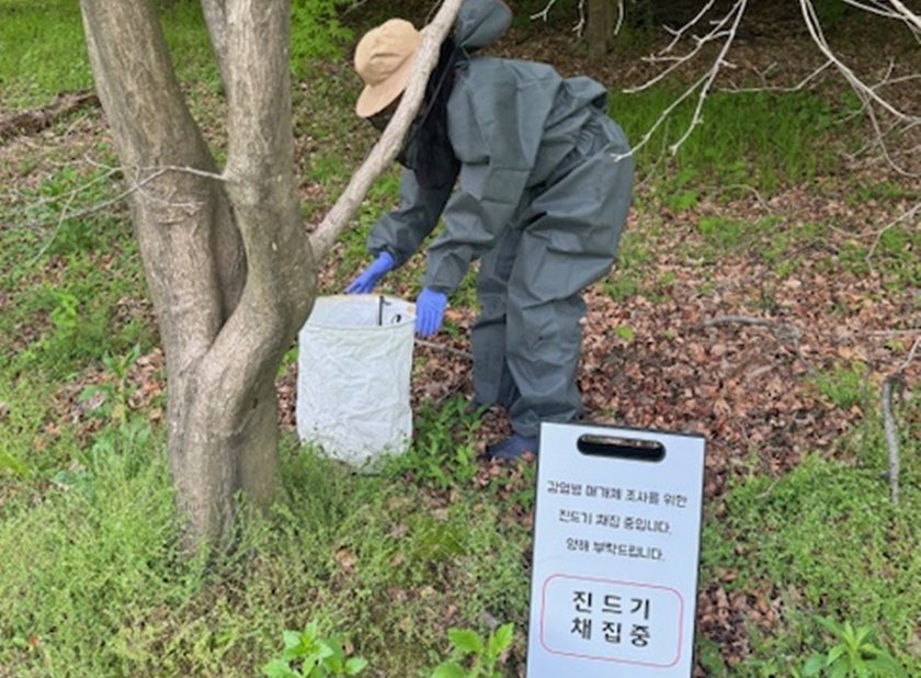 올해 첫 진드기 감염병 환자 발생…텃밭 갔던 70대 병원행