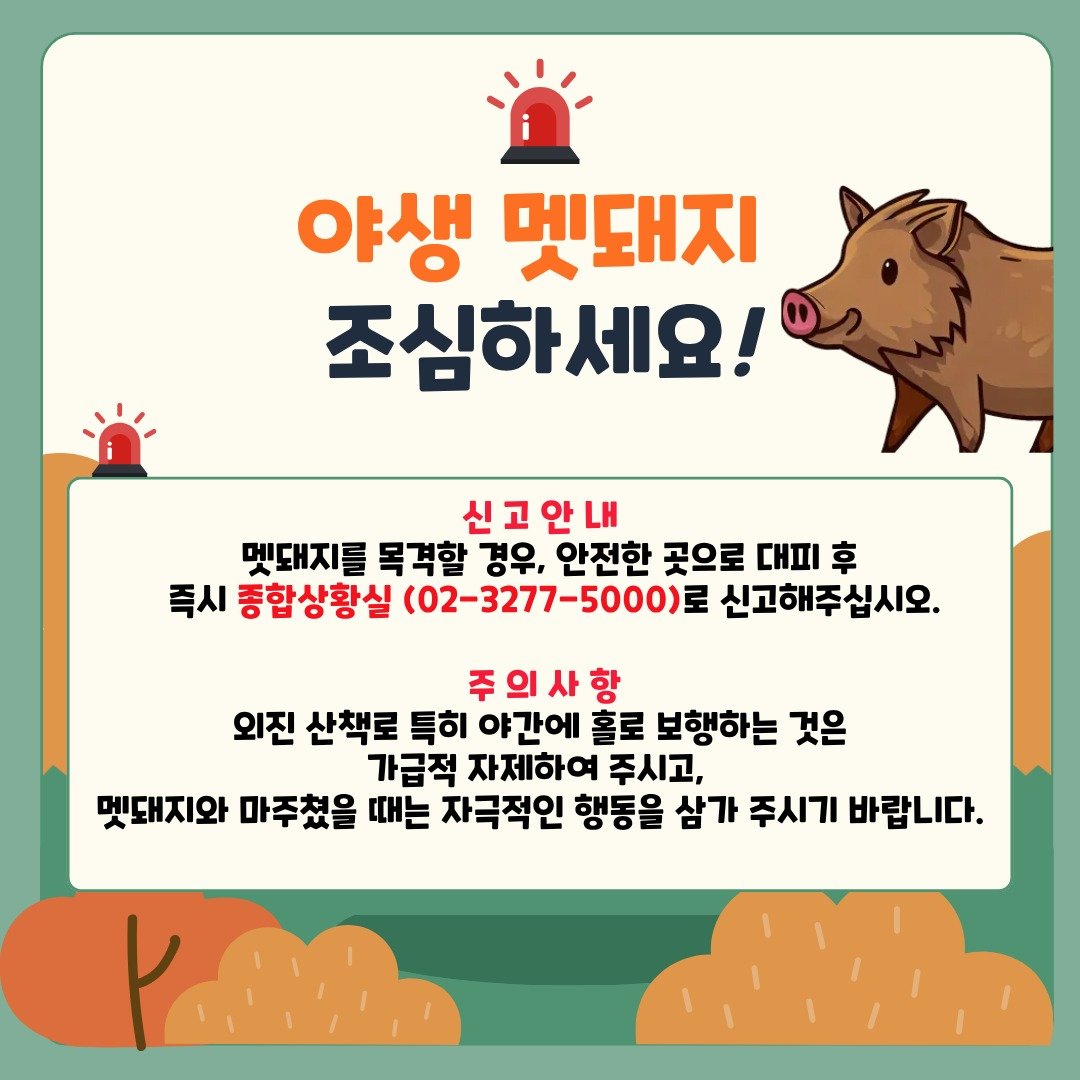 이화여대 ‘교내 멧돼지 출몰 주의 안내’ 공지. 이화여대 홈페이지 갈무리
