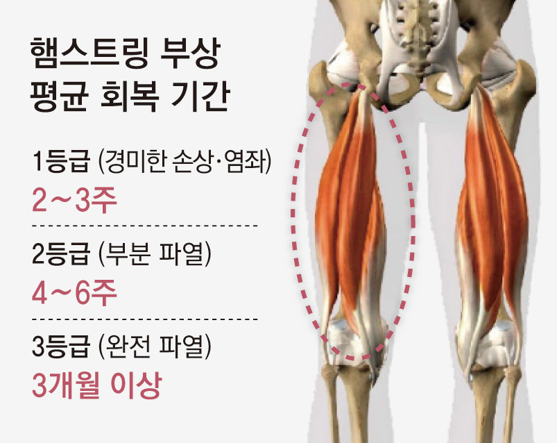 라민 야말 햄스트링 부상 장면