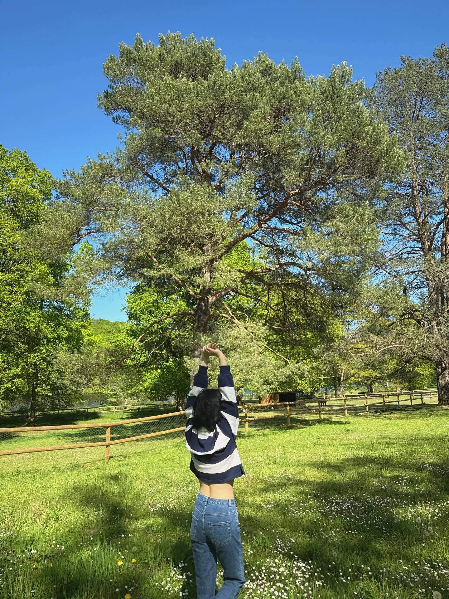 송혜교 인스타그램 갈무리