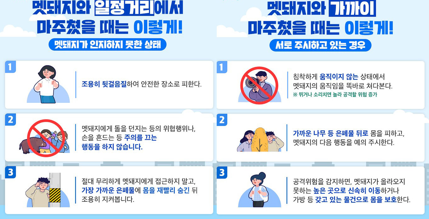 서울시 홈페이지
