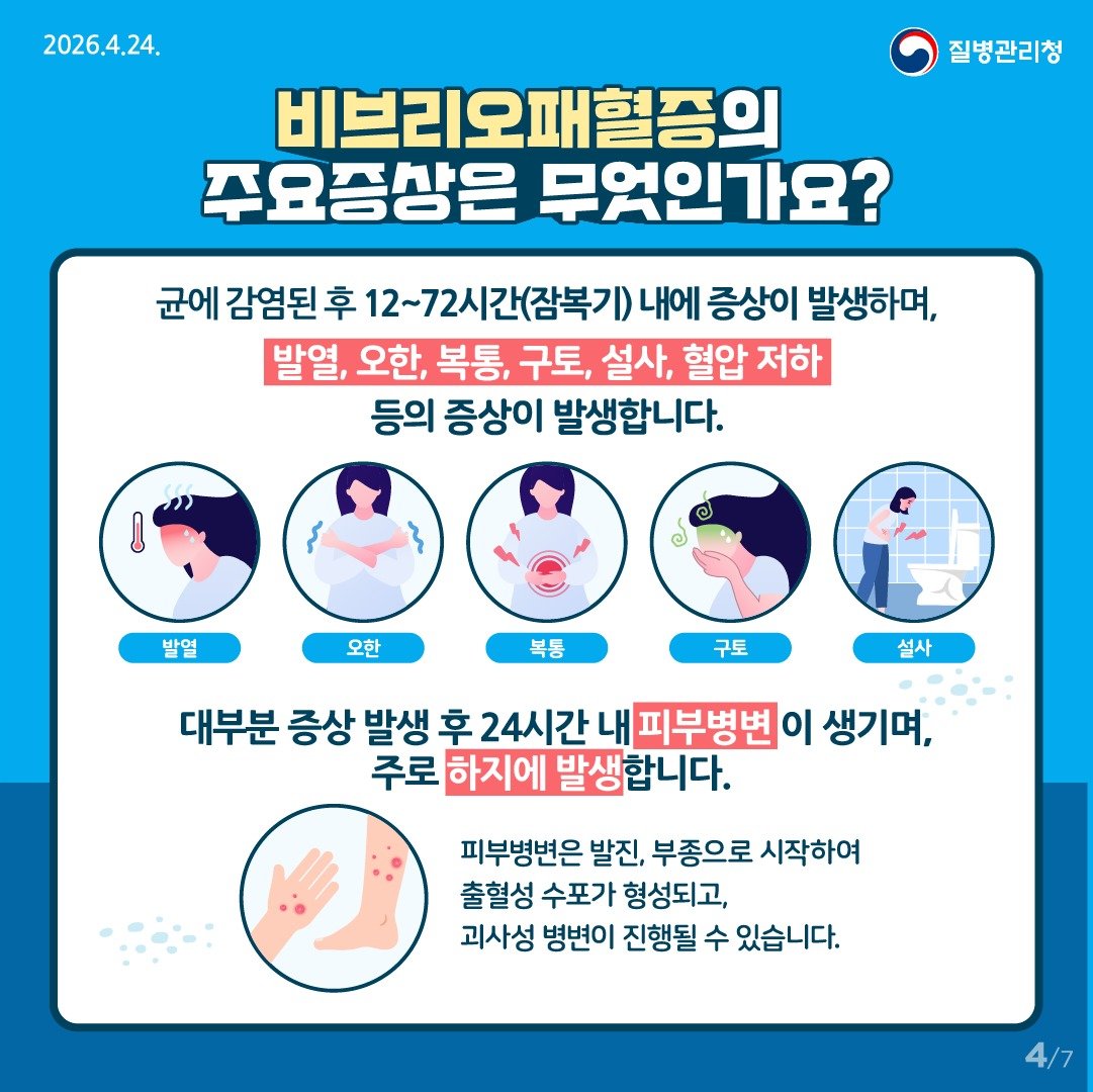 비브리오패혈증 증상 (질병청 제공)