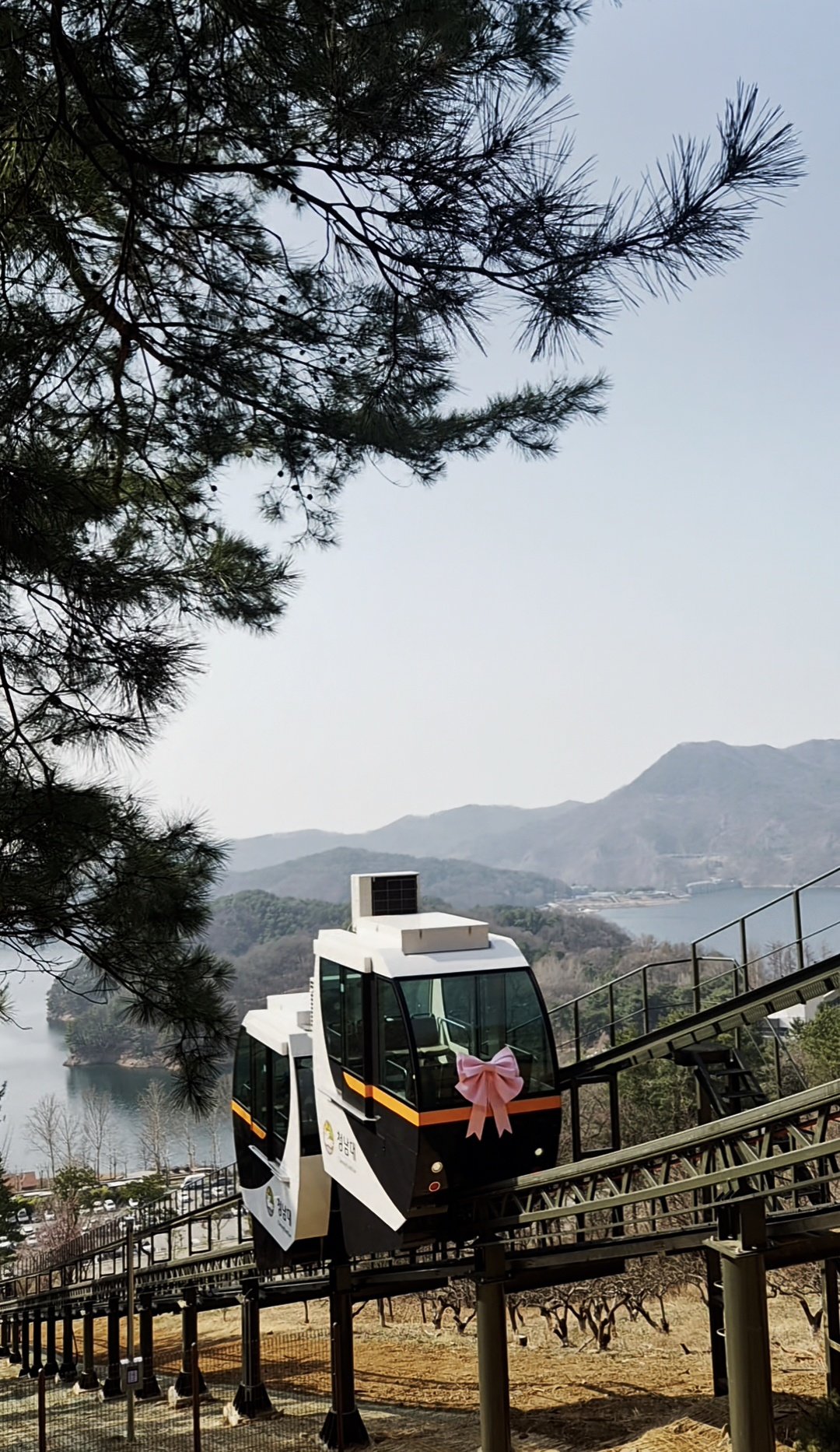 충북도의 상수원 규제 완화 노력으로 설치된 모노레일이 청남대 제1전망대까지 이어진 330m 구간을 운행하고 있다. 제1전망대에서는 청남대와 대청호 일대를 한눈에 조망할 수 있다. 
청남대관리사업소 제공