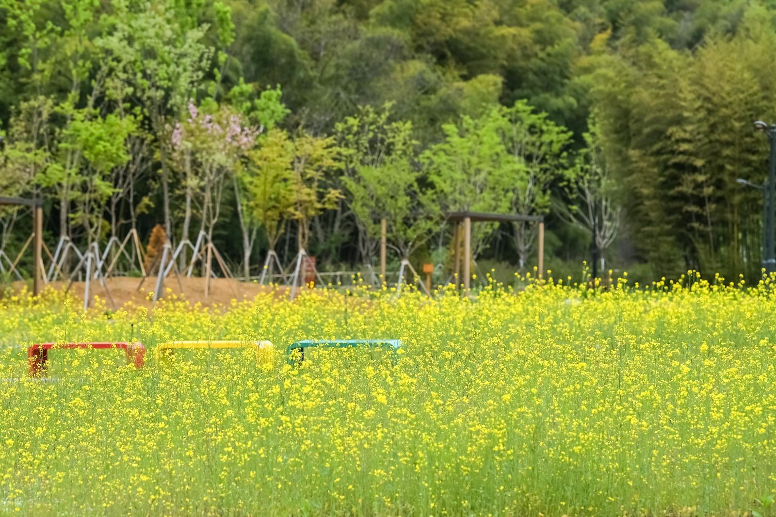 한국수목원정원관리원이 5월 백두대간수목원과 세종수목원, 한국자생식물원에서 가족 대상 체험·문화 프로그램을 운영한다고 26일 밝혔다. 사진은 전남 담양에 있는 국립정원문화원 모습. 한국수목원정원관리원 제공
