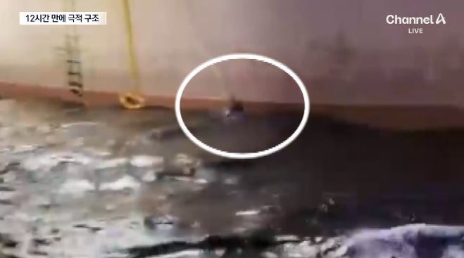 울진서 실종 50대 다이버, 26km 떨어진 삼척서 구조