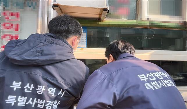 부산시 ‘먹거리 안전’ 점검 나선다…BTS공연 앞두고 손님맞이 준비