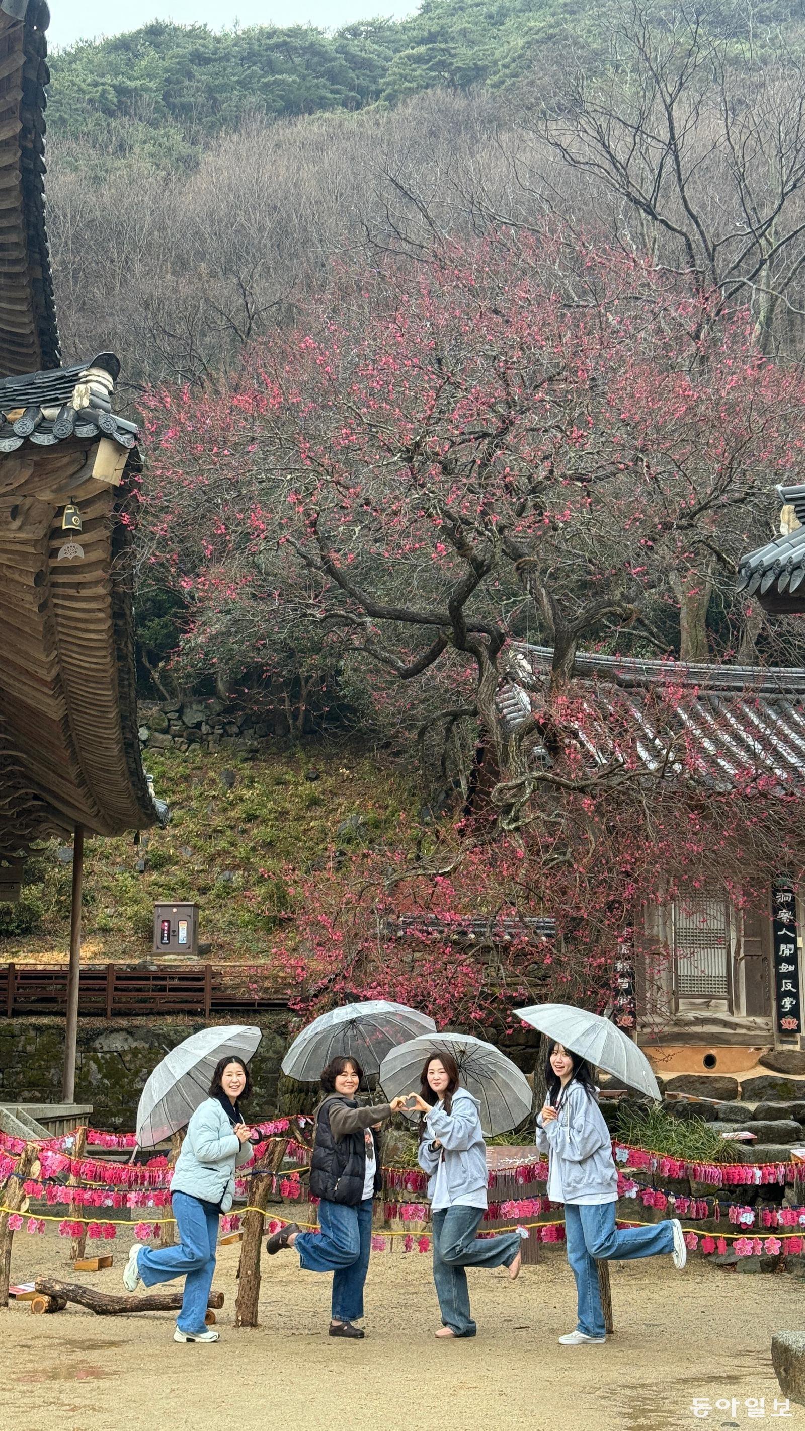 홍보기획위원장상 구나현의 ‘청춘은 지금, 바로 청바지!’ .화엄사 제공