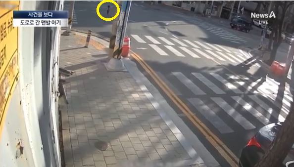 지난달 13일 경남 창원에서 두 살배기 아이가 홀로 도로 한복판을 걷다가 행인에게 발견돼 구조됐다. 채널A