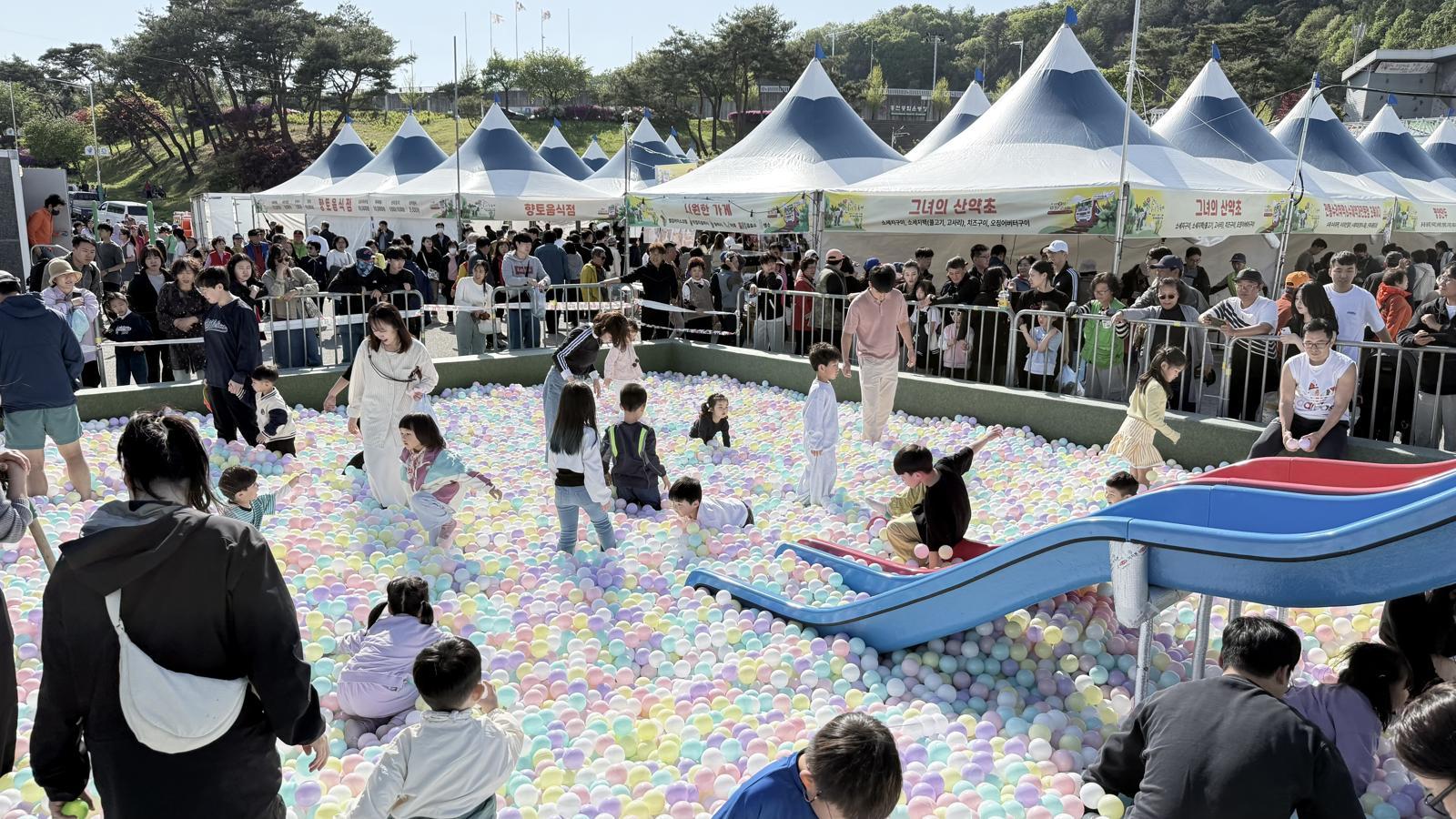 홍천 산나물 축제가 다음 달 1~3일 홍천읍 토리숲에서 열린다. 사진은 지난해 축제 모습. 홍천군 제공