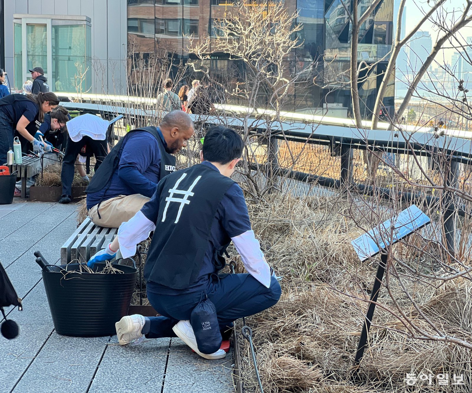 버려진 고가 철도를 ‘공중’의 공원으로 만든 미국 뉴욕 맨해튼의 ‘하이라인’에서 꽃과 나무를 심고 있는 자원봉사자들. 많은 뉴욕 시민들이 더 좋은 공원을 만들기 위해 다양한 자원봉사에 나선다. 
뉴욕=임우선 특파원 imsun@donga.com