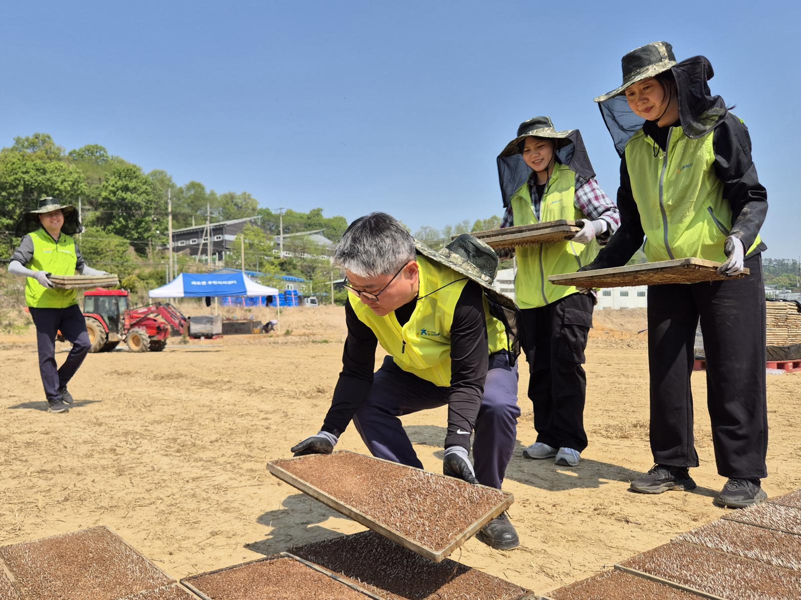 농협경제지주 직원들이 모판 이동 작업에 일손을 보태고 있다. 농협 제공