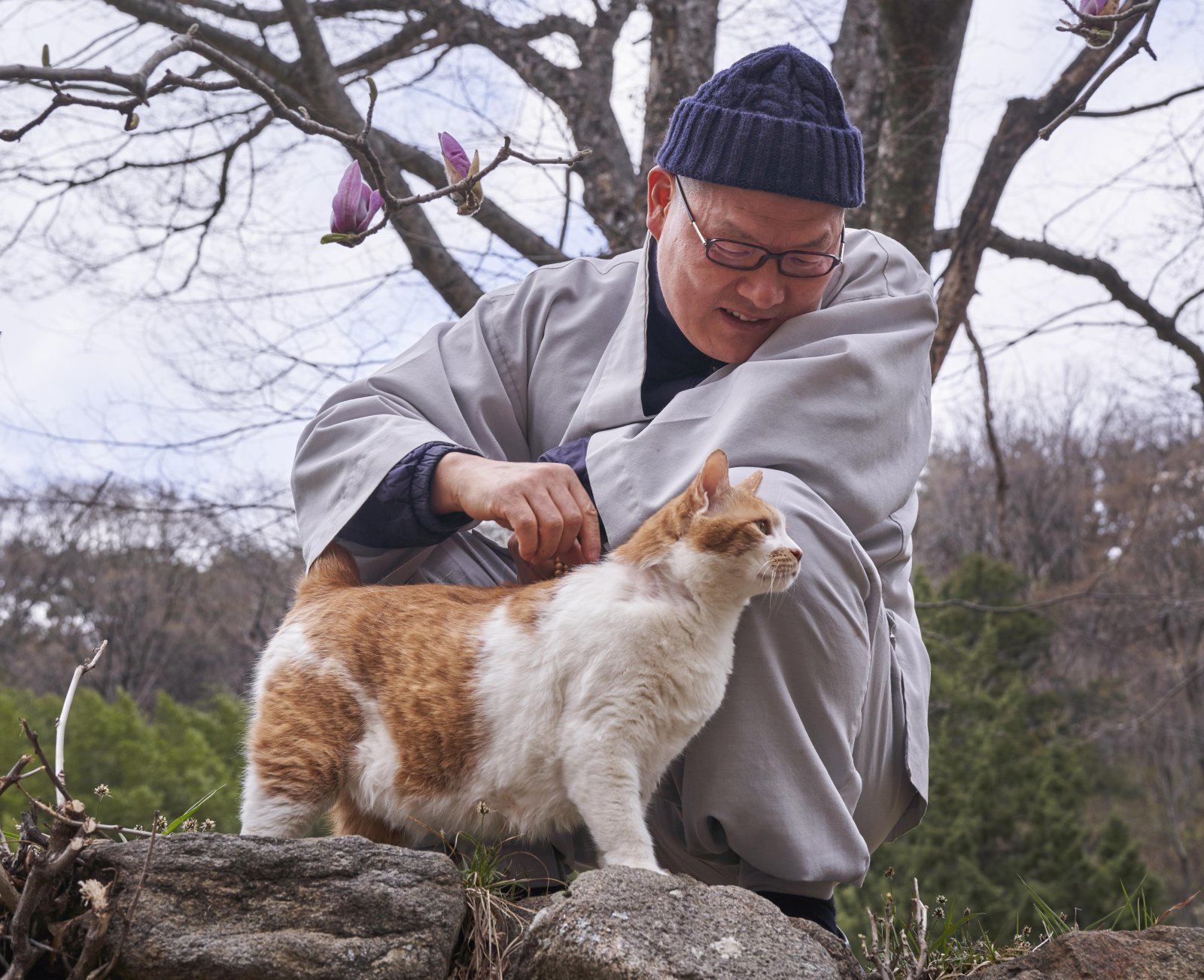 보경 스님 고양이 에세이 유럽 수출