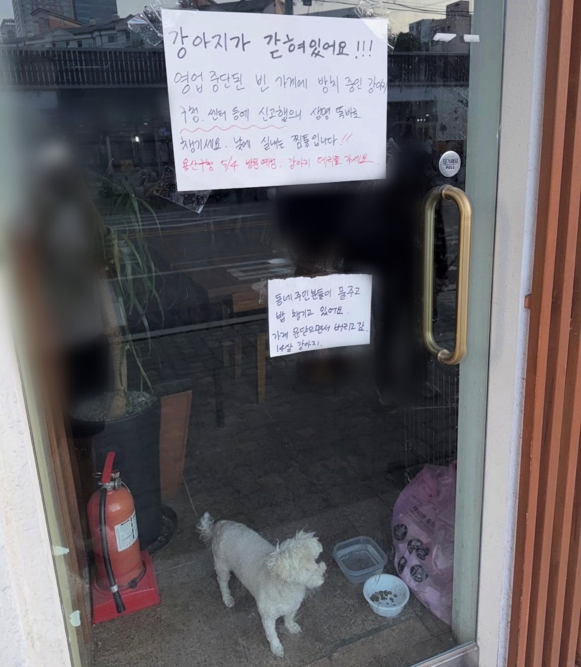 서울 용산구의 한 횟집에 노견이 방치돼있다는 논란이 일었다. 인스타그램 캡처