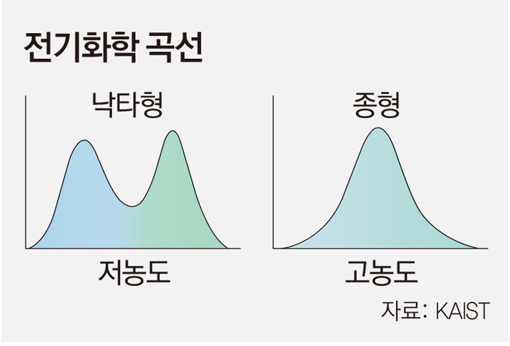 전기 이중층에서 전해질 농도가 증가하자 전기용량 그래프 곡선이 낙타형에서 종형으로 전이됐다.