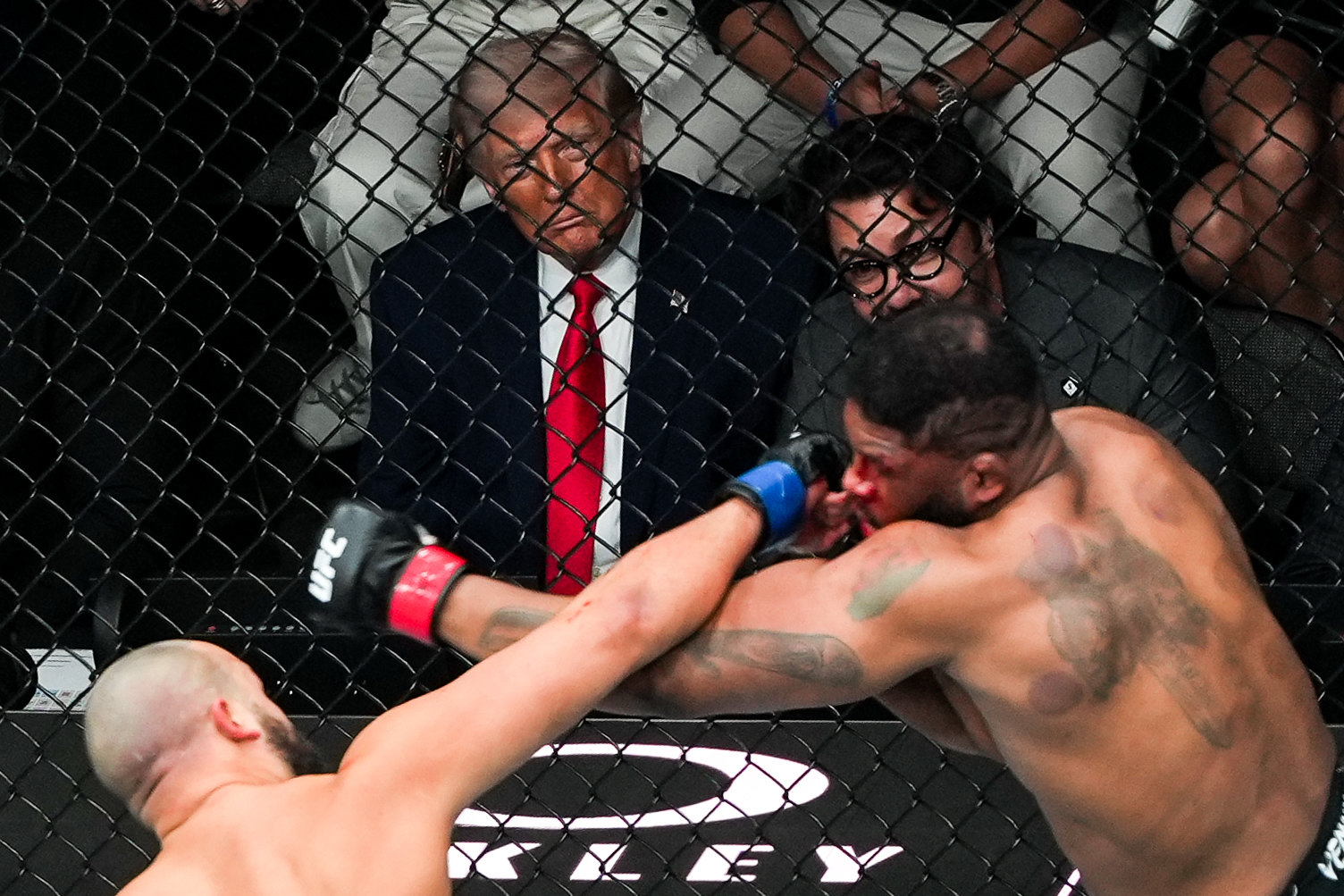 트럼프 팔순 맞아 백악관서 UFC 격투 경기… “강한 이미지 활용”[글로벌 현장을 가다/신진우]