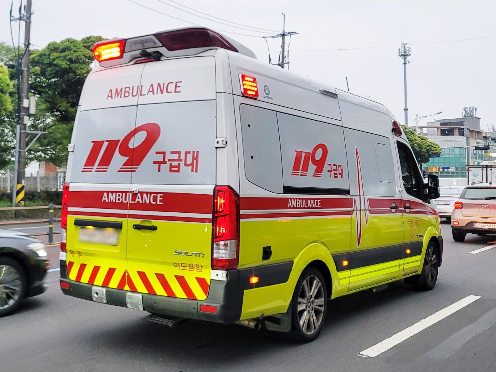제주 벌 쏘임 운전자 사고 현장