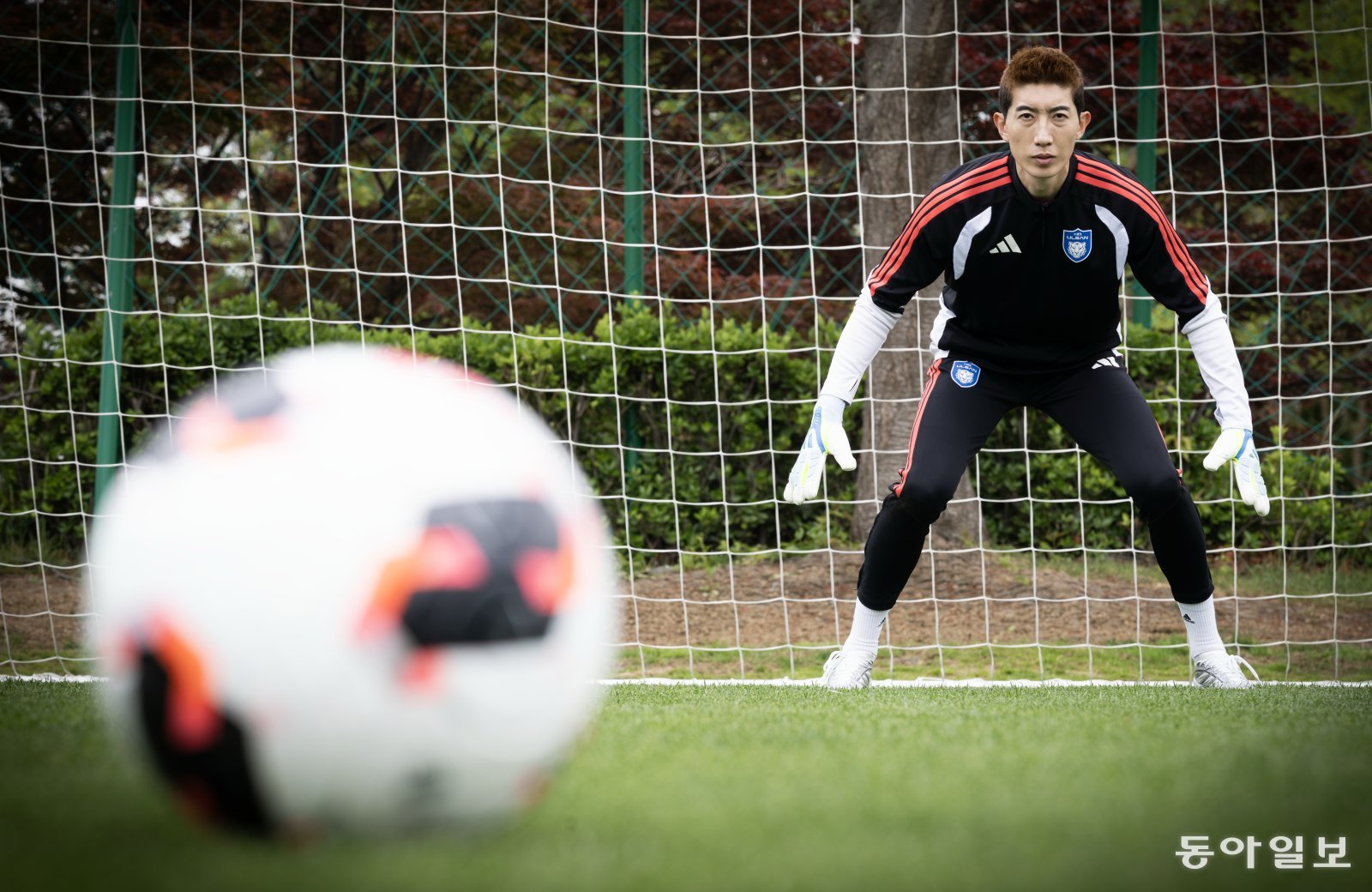 한국 축구 대표팀 수문장 조현우가 울산시 울산현대축구단 훈련장에서 두 손으로 공을 감싸는 포즈를 취하고 있다. 2026 북중미 월드컵을 앞두고 본보와 만난 조현우 “월드컵이 끝난 뒤 딸들에게 칭찬을 듣기 위해 최선을 다해 상대의 슈팅을 막아내겠다”고 말했다.울산=박형기 기자 oneshot@donga.com