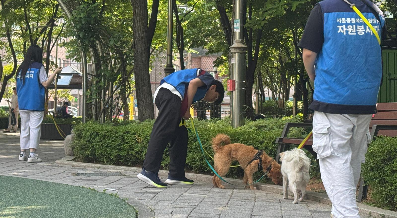 상처입은 청춘과 유기견 동행… “세상 나갈 용기 생겨”