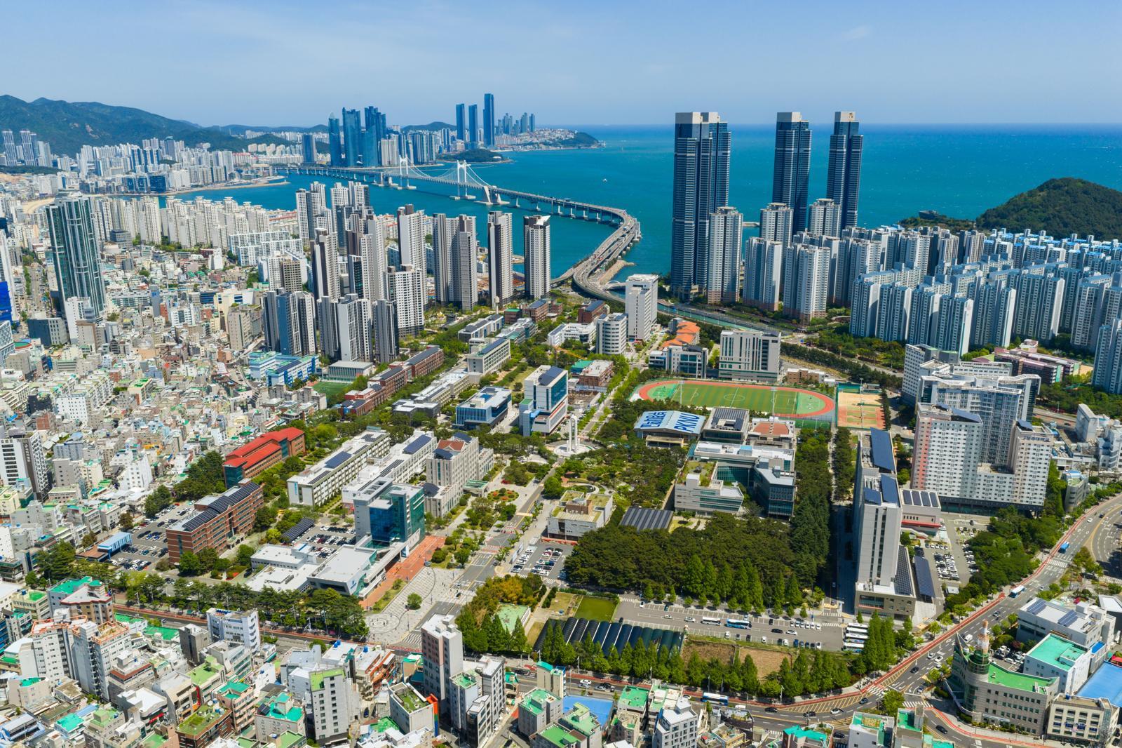 4월 부산 남구 국립부경대학교 대연캠퍼스 전경. 국립부경대 제공