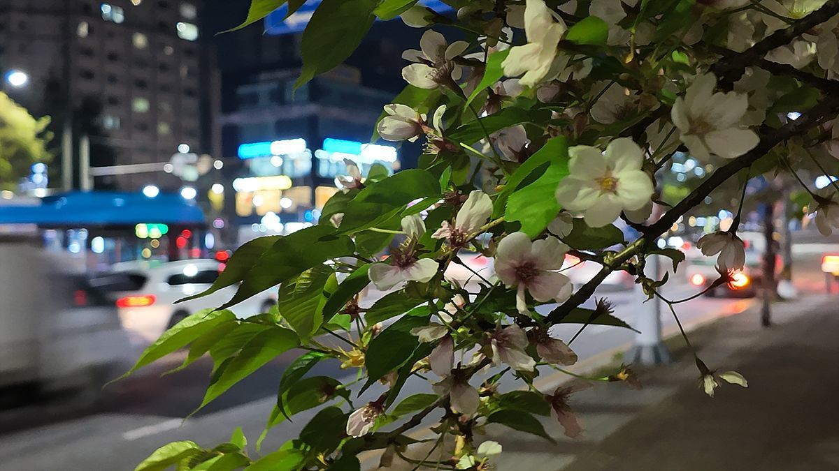 DJI 오즈모 포켓 4 예제 사진 / 출처=IT동아