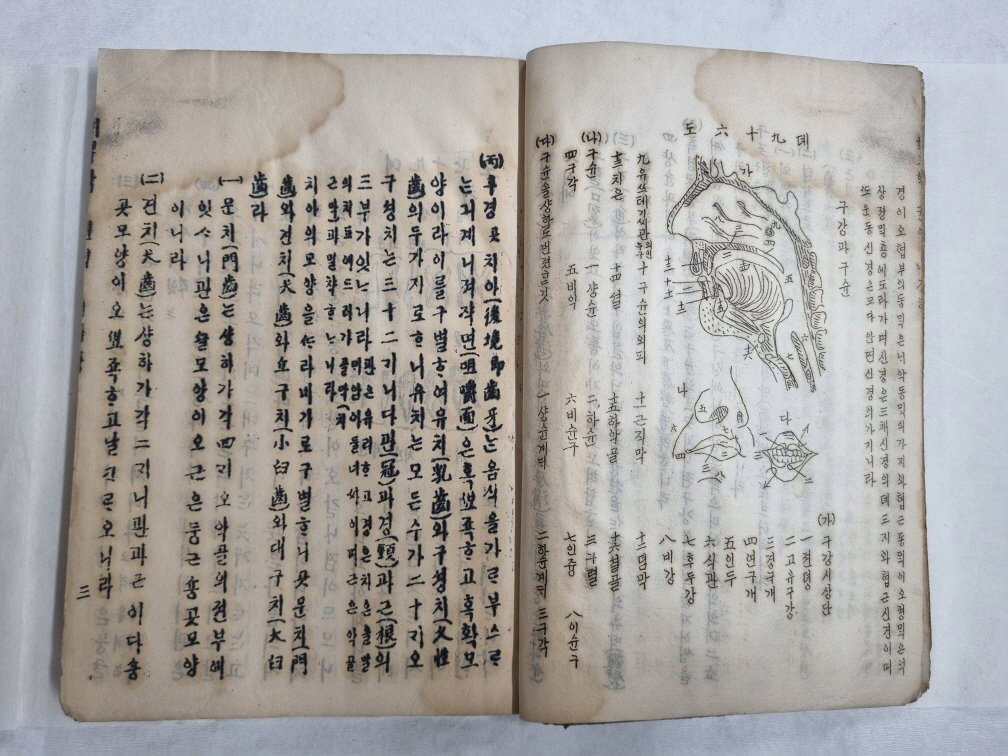 국가유산청은 14일 국립한글박물관이 소장한 ‘해부학(제중원 한글의학교과서)’ 3점을 국가등록문화유산으로 등록 예고했다고 밝혔다. 해부학은 근대 서양식 의료기관인 제중원에서 1906년 간행된 우리나라 최초의 한글 해부학 교과서이다. 사진은 ‘해부학’ 2권. 국가유산청 제공.