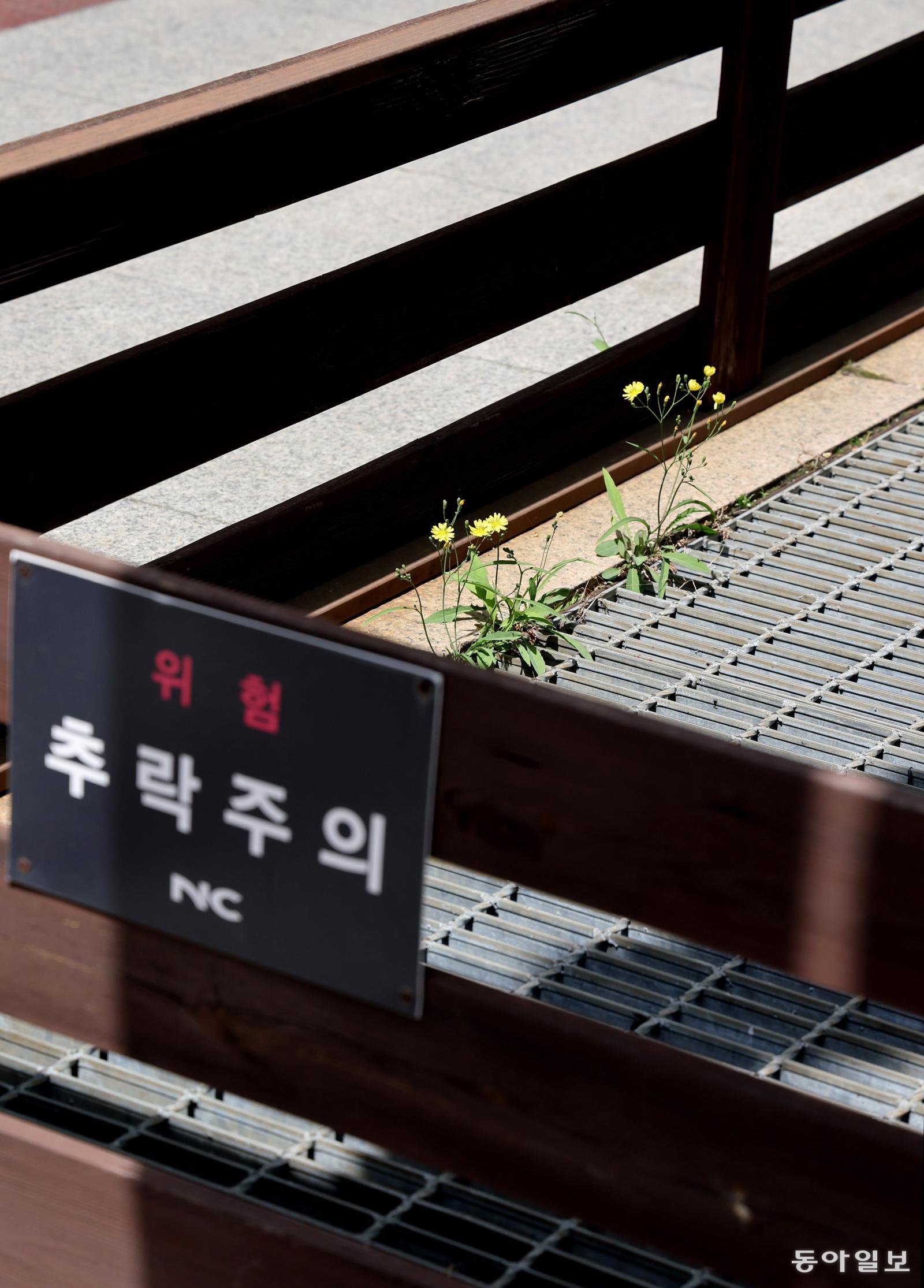 [고양이 눈]창의적인 생존능력