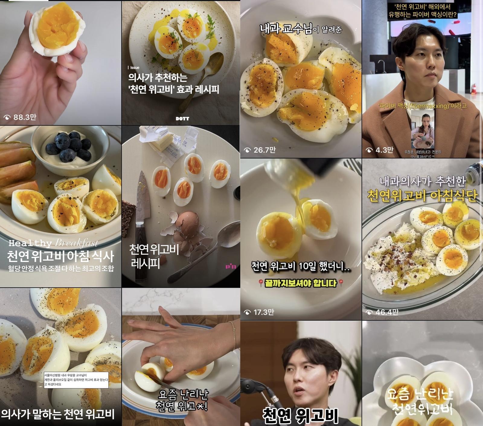 “비싼 위고비 대신 계란?”…SNS 달군 ‘천연 위고비’ 식단 [바디플랜]