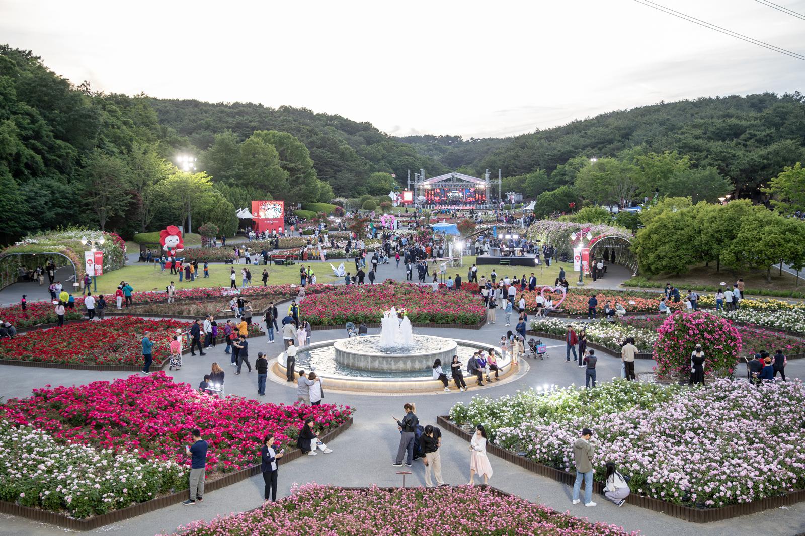 울산대공원 장미축제 20일 개…300만 송이 장미 물결