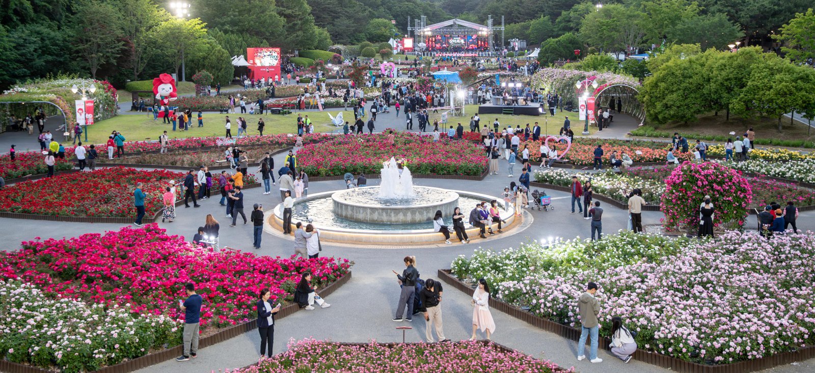 지난해 열린 2025 울산대공원 장미축제 모습. 울산시는 20일부터 25일까지 울산대공원 장미원에서 축제를 연다. 울산시 제공