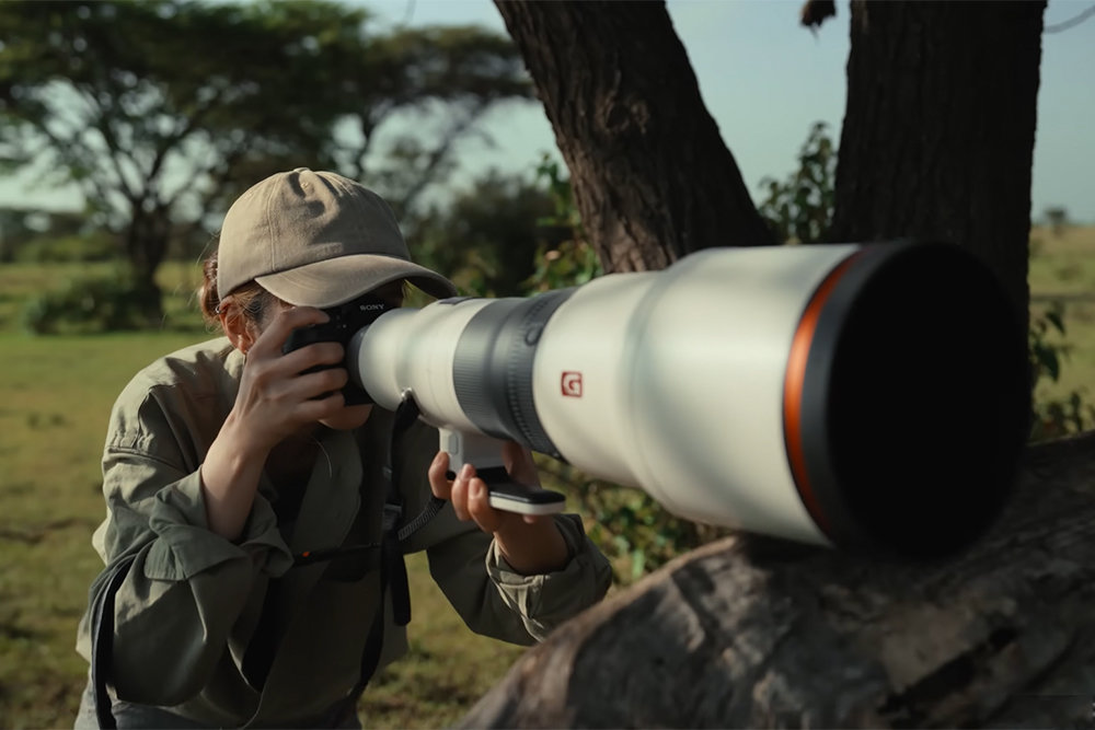 소니 A7R VI에 FE 300mm F2.8 GM OSS를 마운트한 사진 / 출처=소니코리아