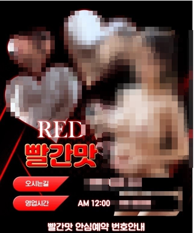 성매매 알선 광고사이트.(경기남부경찰청 제공)