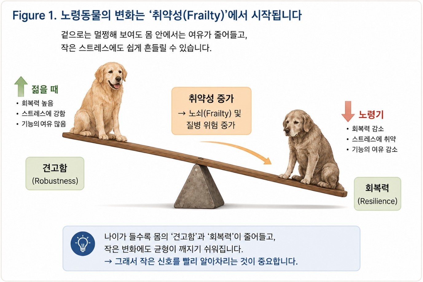 [반려동물 20세 시대] 우리 아이가 달라졌어요