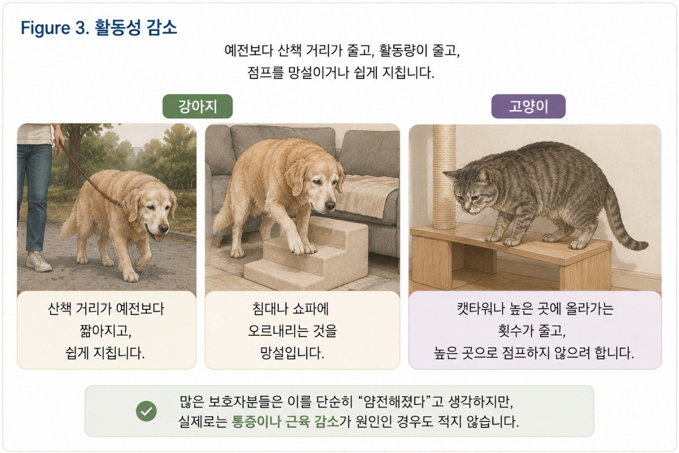 그래픽=연희동물의료센터 제공