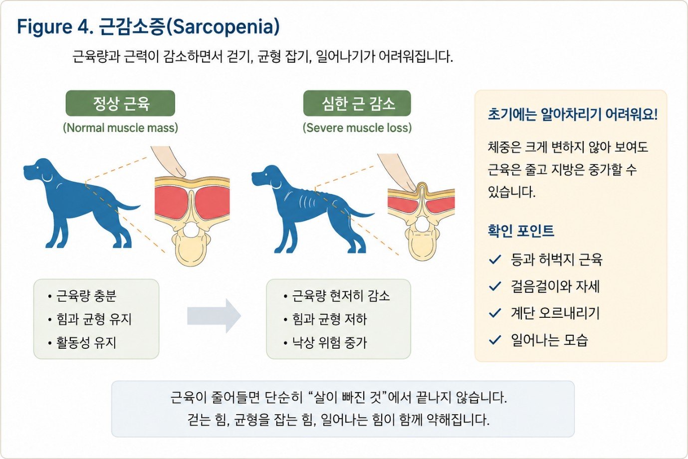 그래픽=연희동물의료센터 제공