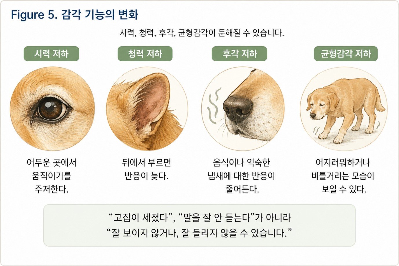 그래픽=연희동물의료센터 제공