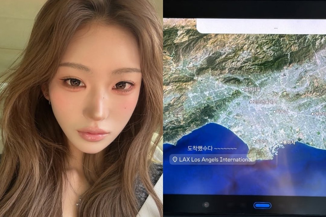 최준희, LA로 신혼여행…“캐리어 6개·강아지 두마리” 놀라운 스케일