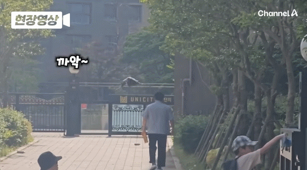 채널A 뉴스 영상 갈무리