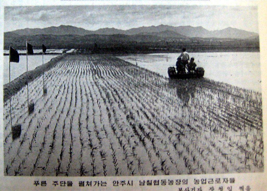 노동신문 1997년 5월 11일자