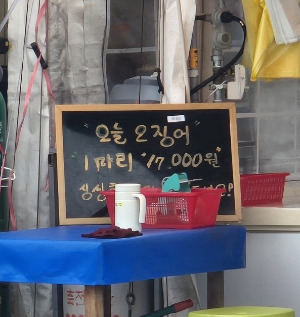 부처님오신날 연휴 첫날이었던 지난 23일 강원 속초지역 대표 먹거리촌인 동명동 오징어난전의 한 점포에 입구에 이날 오징어 1마리 가격을 알리는 문구가 적혀있다. 2026.5.23/뉴스1