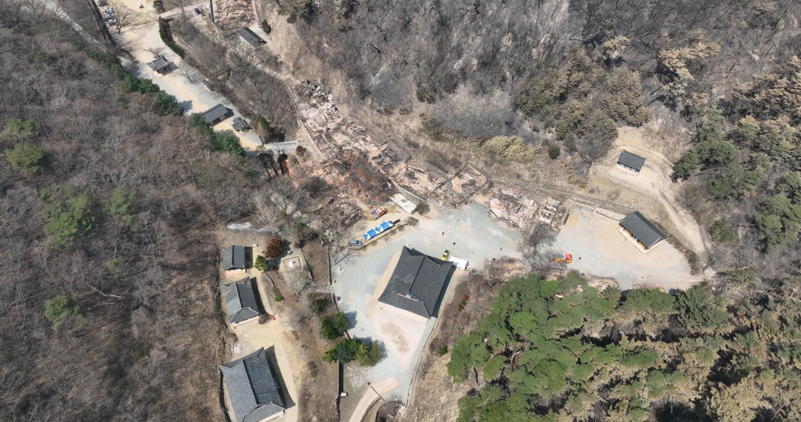 작년 불탔던 고운사 사찰림, 자연 복원했더니… “산불 더 잘 견디게 체질 변화”[환경 인사이드]