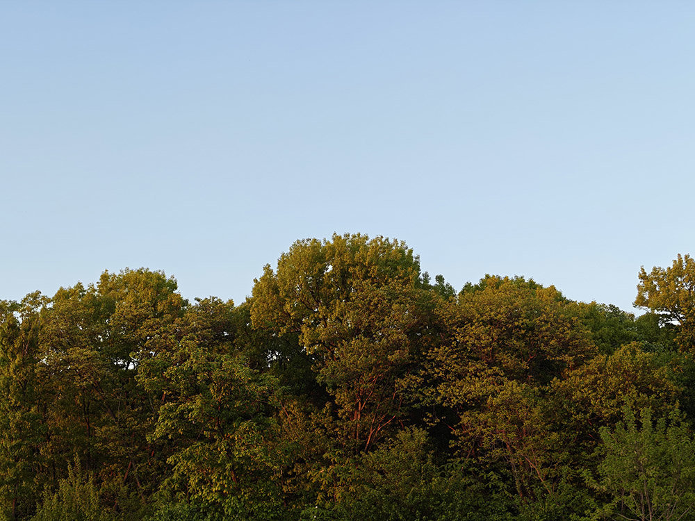 메인 카메라에서 48mm 초점거리로 촬영, f/1.67, 1/388초, ISO 50 / 출처=IT동아