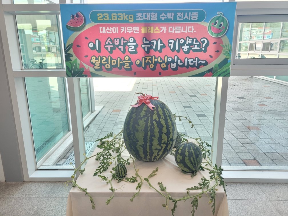 창원시 제공
