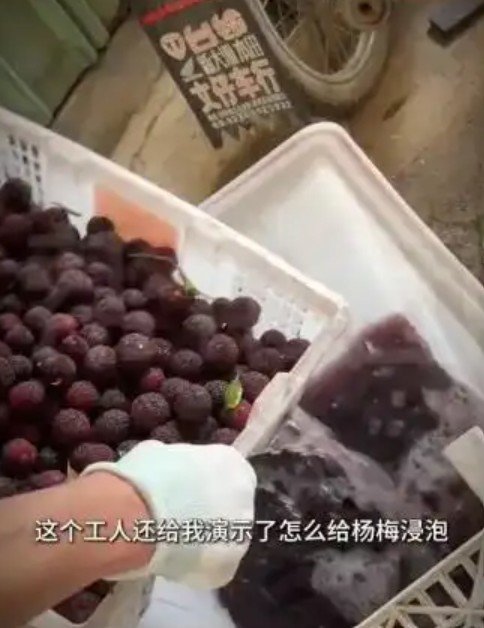 중국서 또 음식위생 논란…‘첨가제 범벅’ 매실 유통 파문