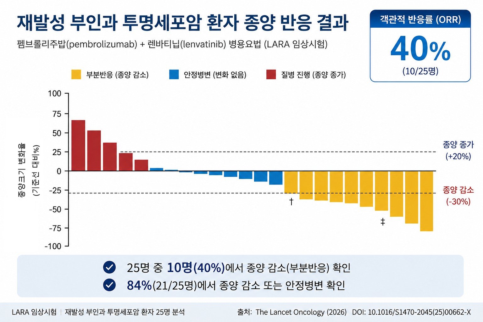 치료법 없던 재발성 부인암…‘이것’ 병용하니 효과