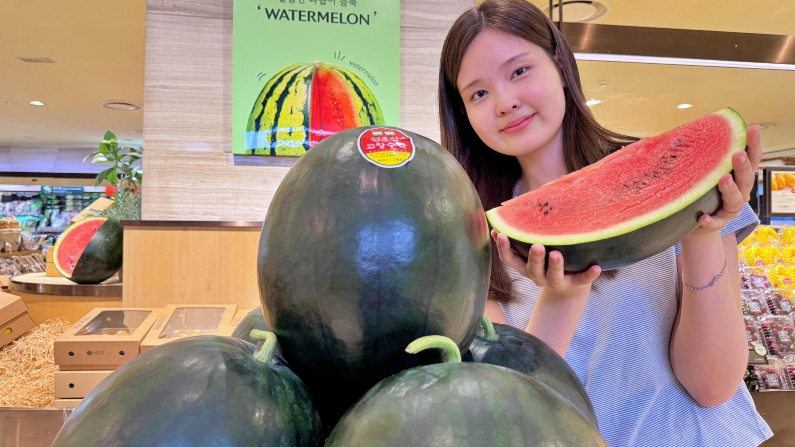 “고창 명품 수박 맛보세요”