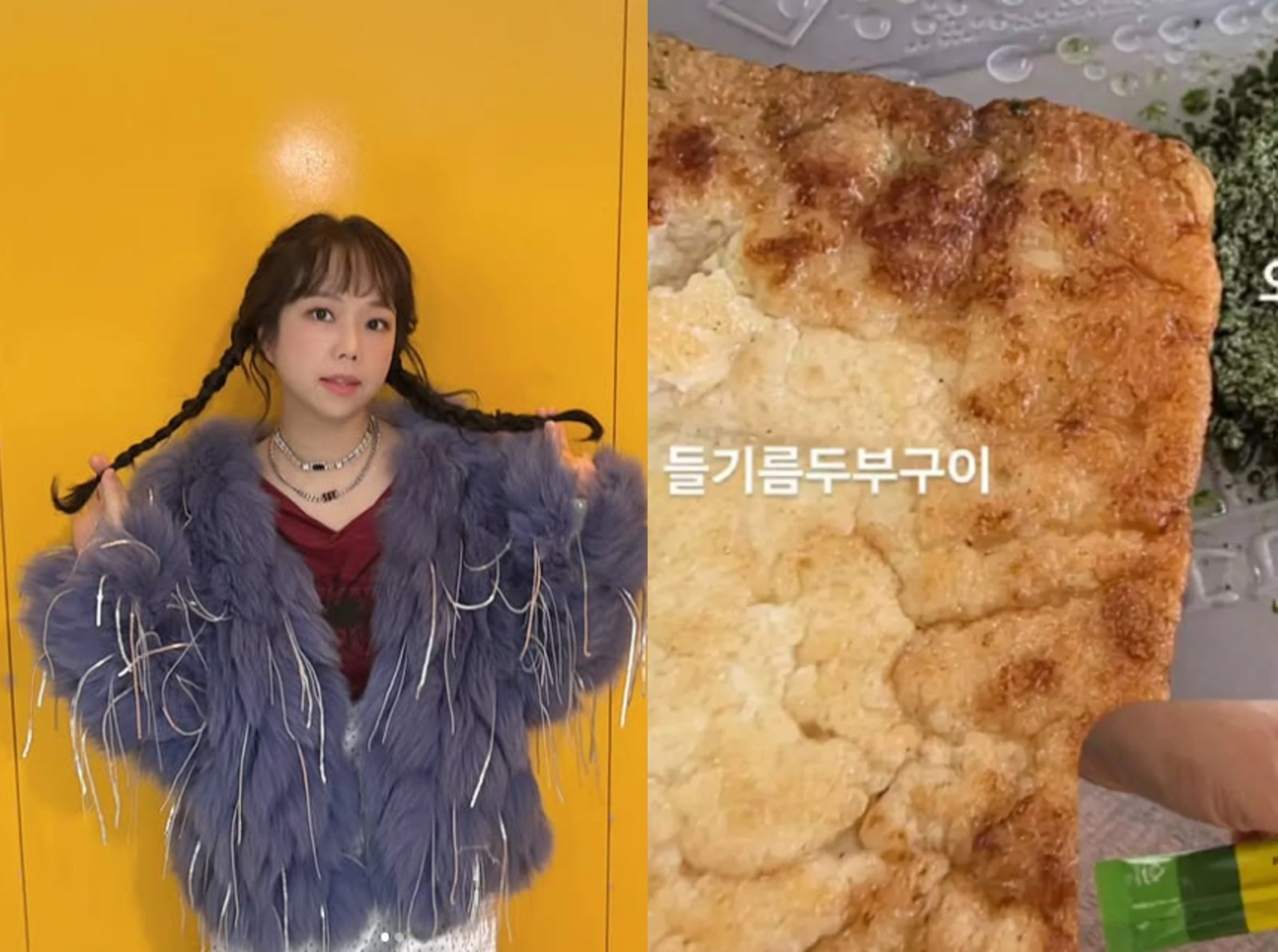 “달걀만큼 단백질 풍부”…16㎏ 감량 홍현희도 반한 ‘들기름 두부구이’