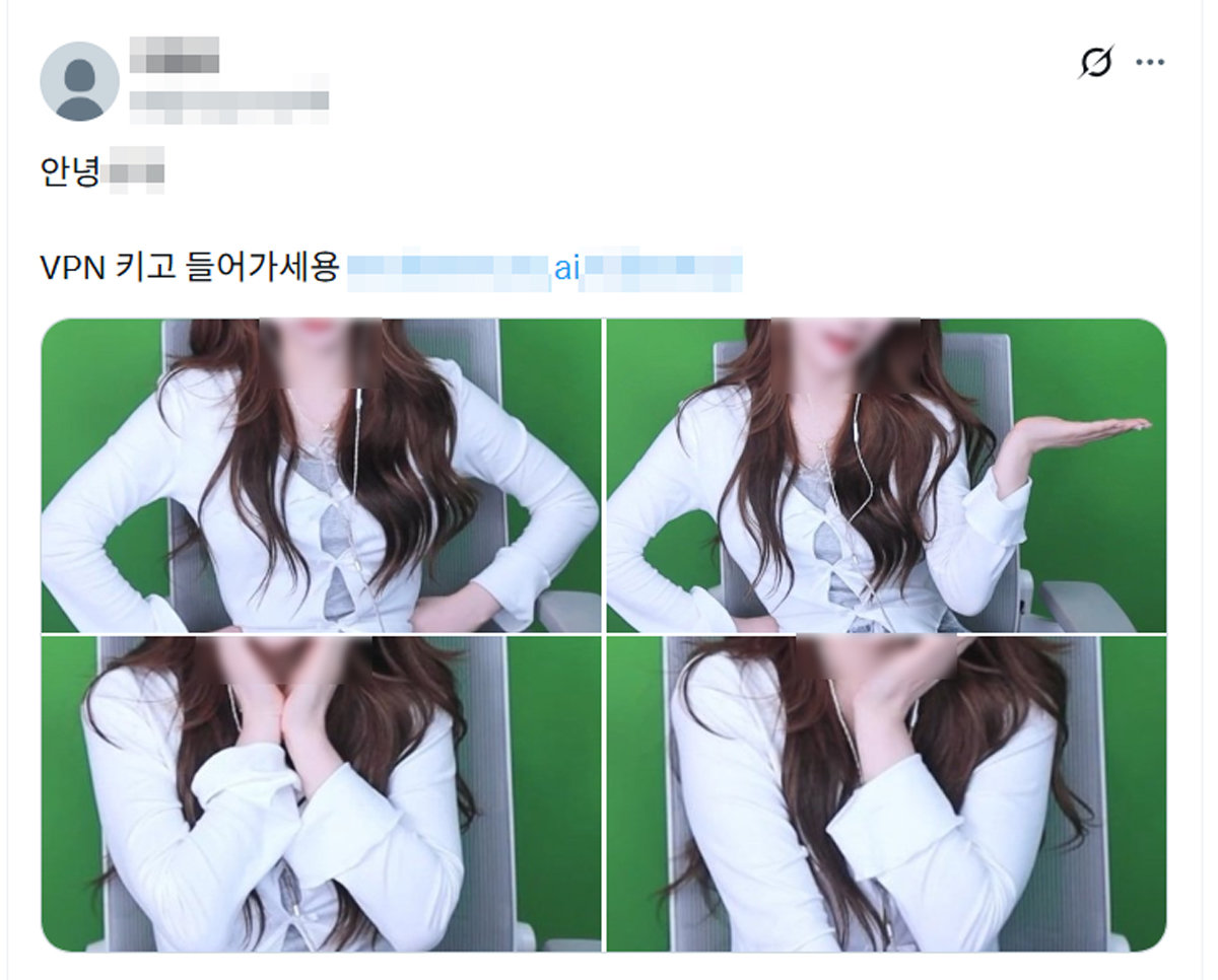 온라인상에서 딥페이크 음란물을 만들 수 있는 사이트가 공유되고 있는 모습. 가상사설망(VPN)을 통해 접속 차단을 우회하라는 안내문구가 함께 게재돼 있다.