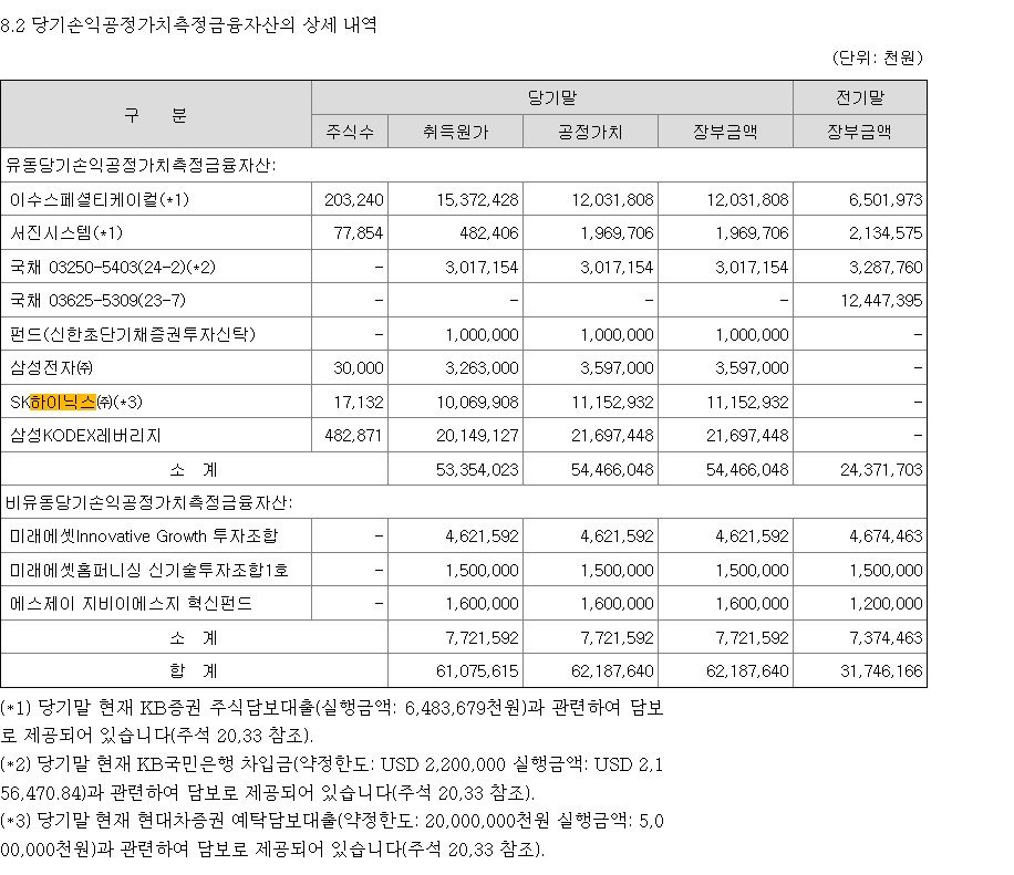 알레르망 감사보고서에 기재된 당기손익-공정가치측정금융자산 상세 내역. 삼성전자 3만 주와 SK하이닉스 1만7132주 보유 현황이 표시돼 있다. 사진=금융감독원 전자공시시스템 갈무리
